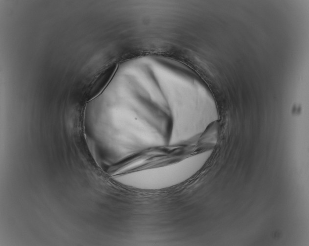 X0000090881058200708241936