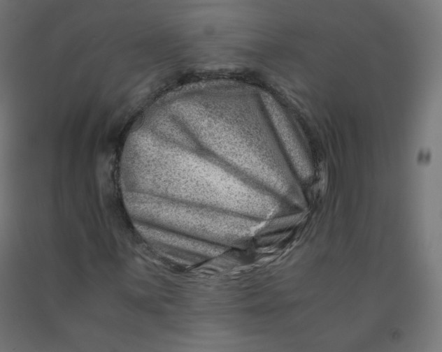 X0000090881059200708241936