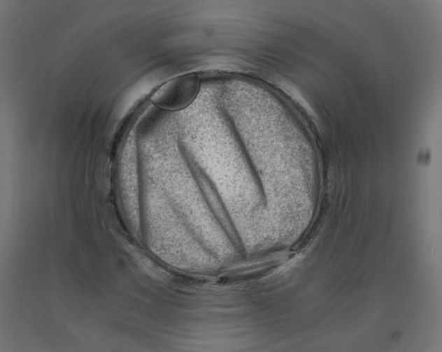 X0000090881067200708241936