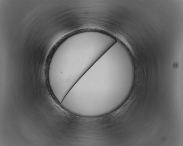 X0000090881068200708241935