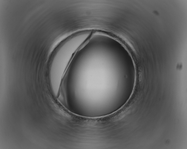 X0000090881069200708241935