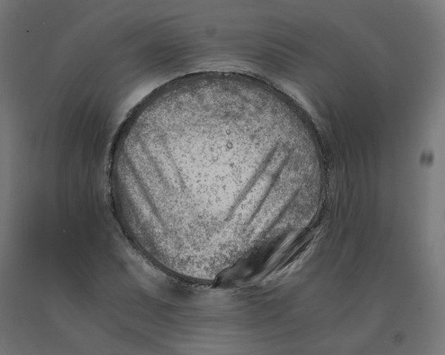 X0000090881071200708241935