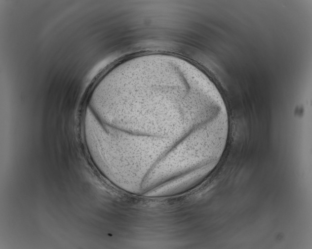 X0000090881074200708241935