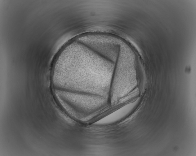 X0000090881075200708241935