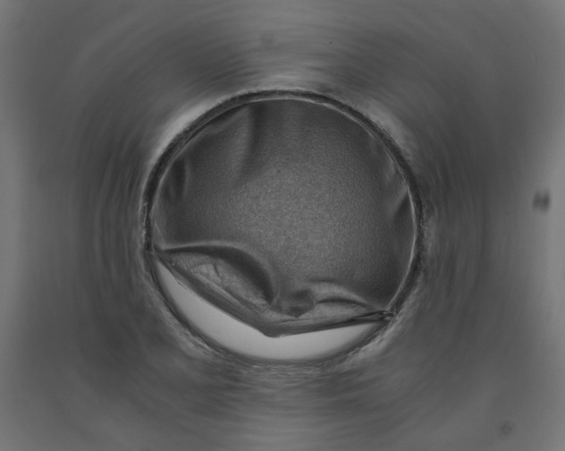 X0000090881077200708241935