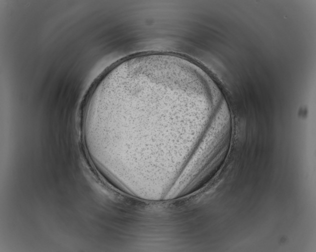 X0000090881078200708241935