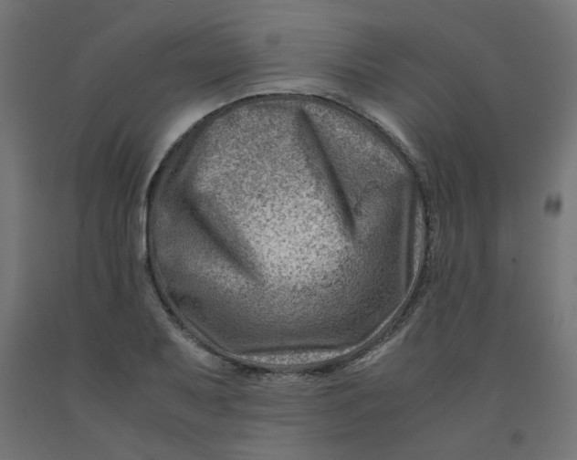 X0000090881079200708241935