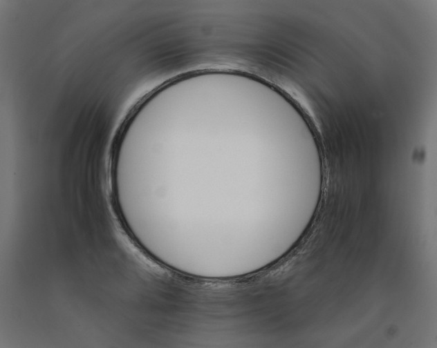 X0000090881080200708241935