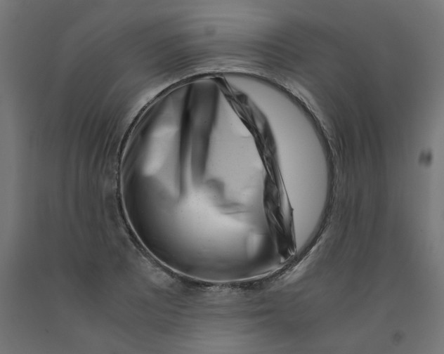 X0000090881081200708241935