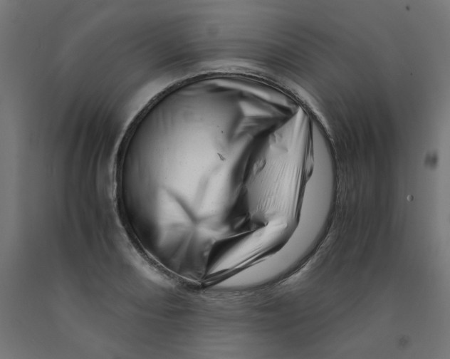 X0000090881082200708241935