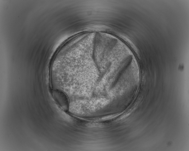 X0000090881083200708241935