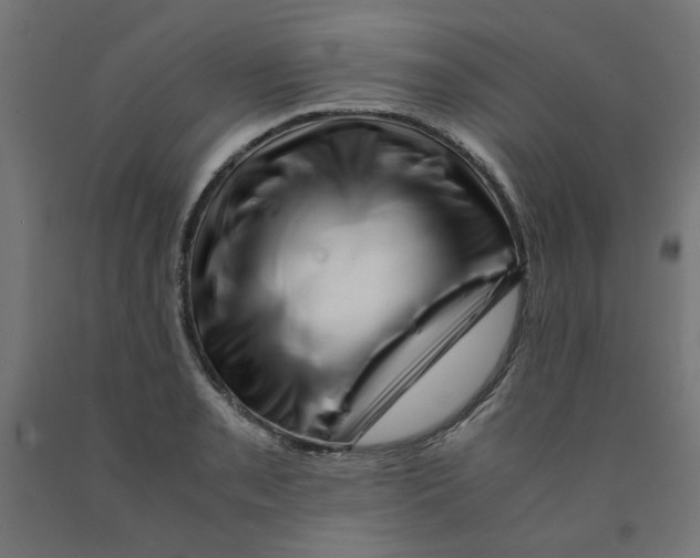 X0000090881085200708241935