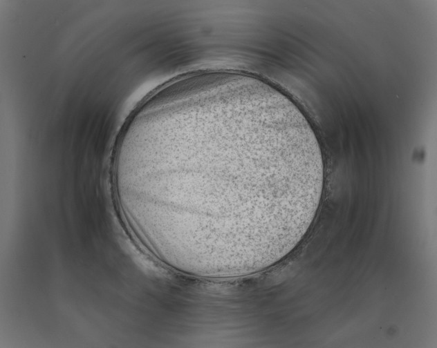 X0000090881086200708241935