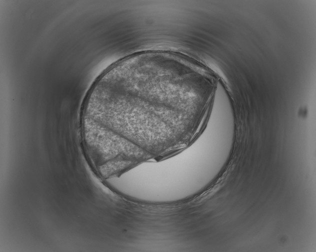 X0000090881087200708241935