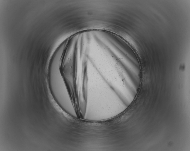 X0000090881088200708241935