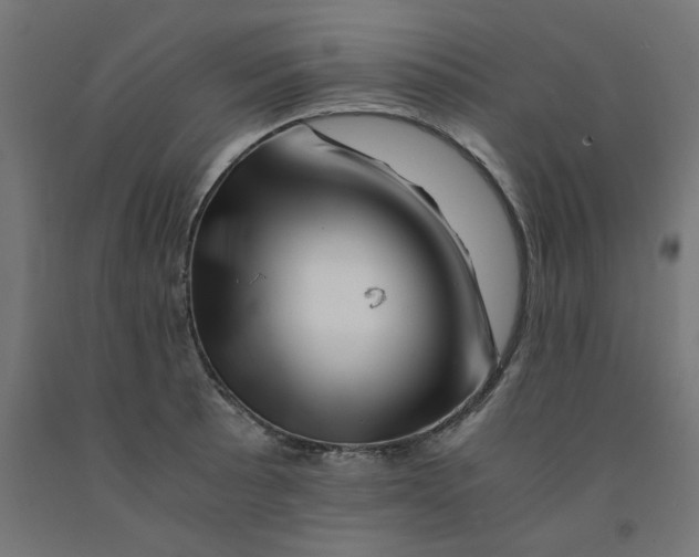 X0000090881089200708241935