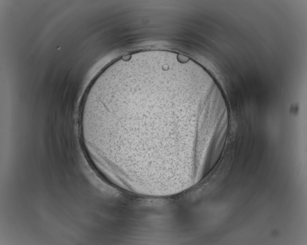 X0000090881090200708241935