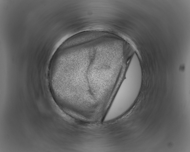 X0000090881091200708241935