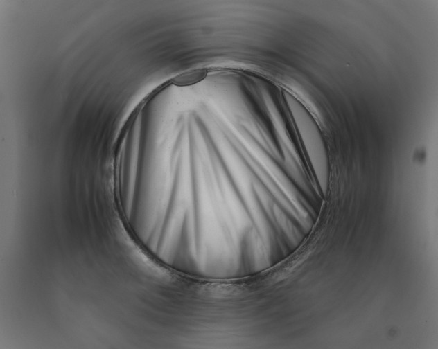 X0000090881092200708241935