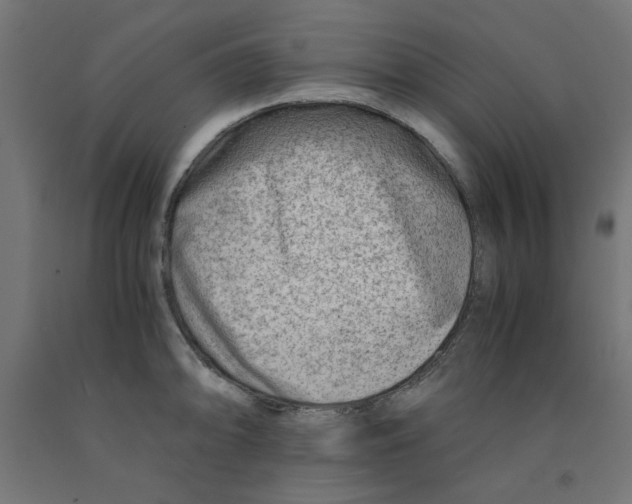 X0000090881094200708241935