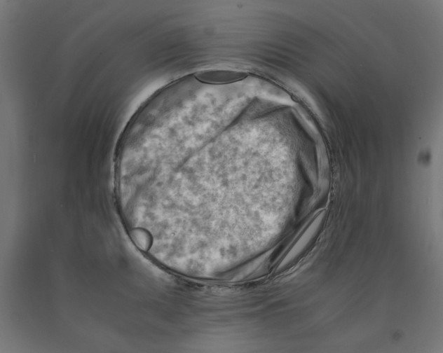 X0000090881095200708241935