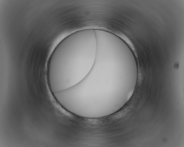 X0000090881096200708241935