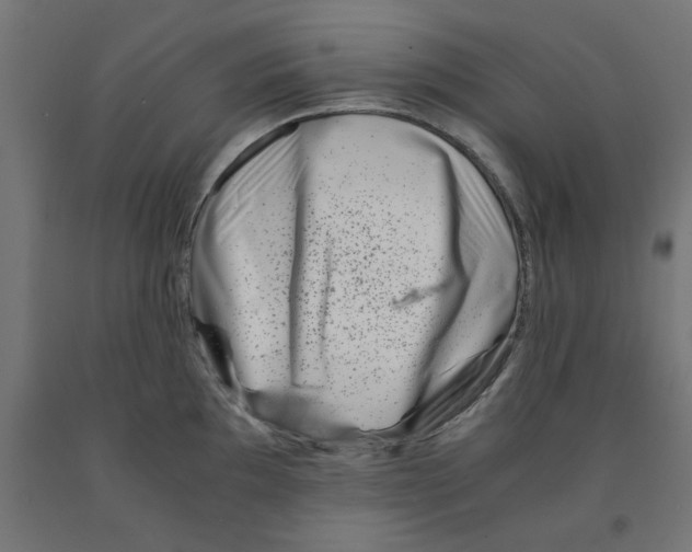 X0000090881097200708241935