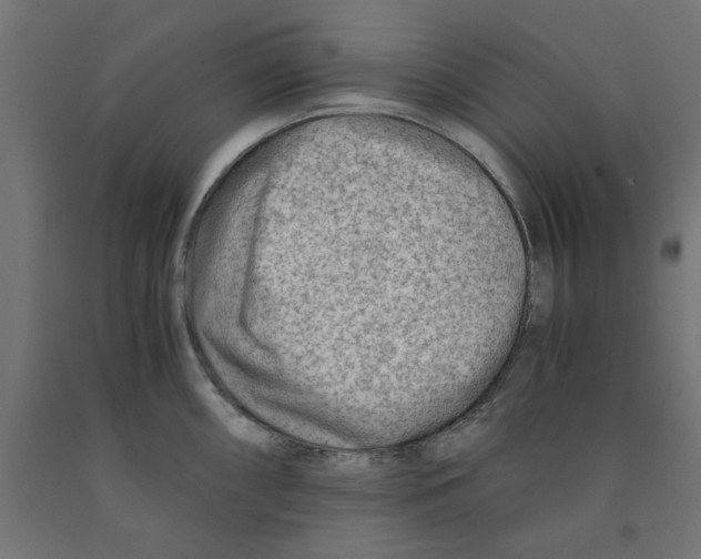 X0000090881098200708241935