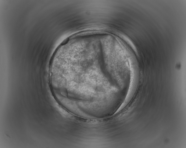 X0000090881099200708241935