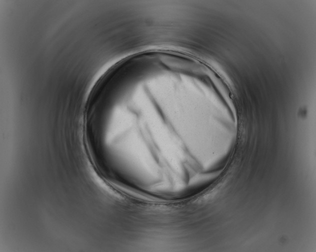 X0000090881100200708241935