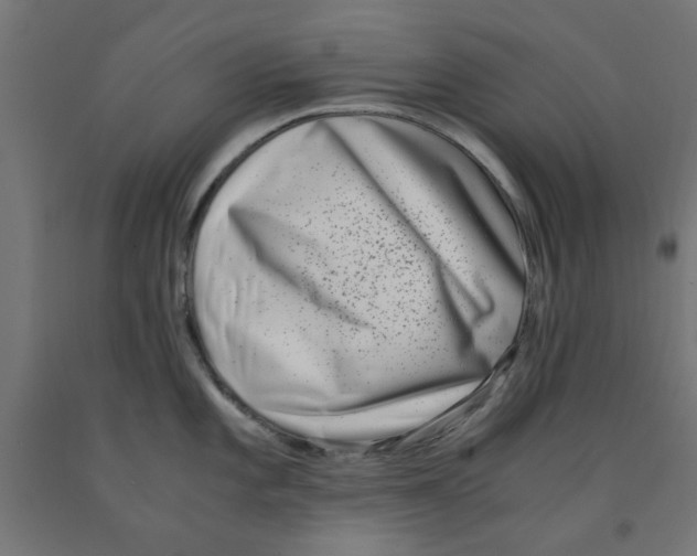 X0000090881101200708241935