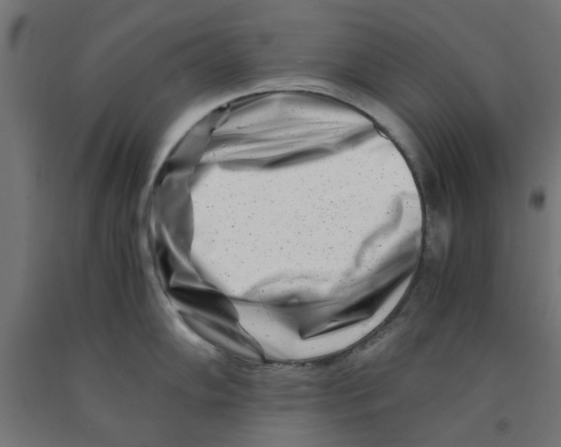 X0000090881102200708241935