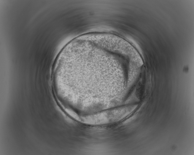 X0000090881103200708241935