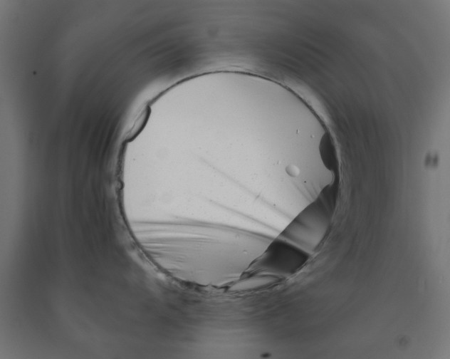 X0000090881104200708241935