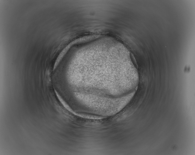 X0000090881106200708241934