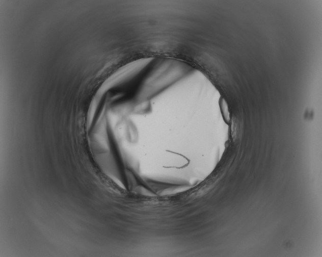 X0000090881107200708241934