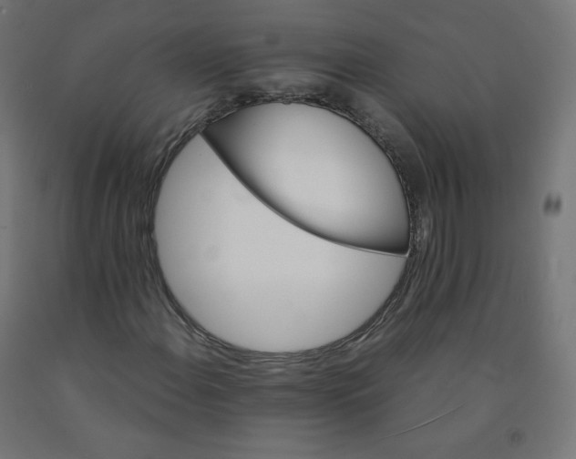 X0000090881108200708241934