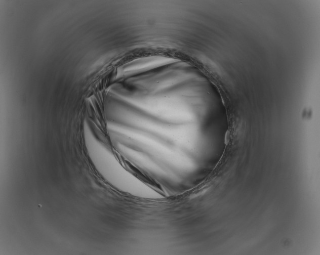 X0000090881110200708241935