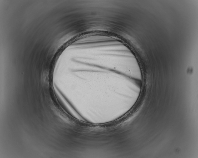 X0000090881113200708241935