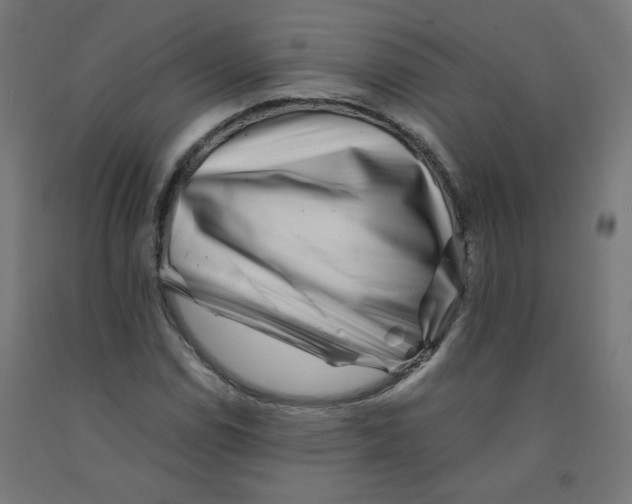 X0000090881114200708241935