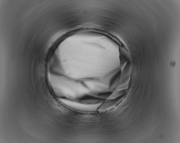 X0000090881115200708241935