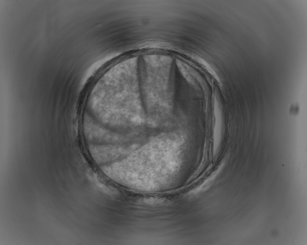 X0000090881117200708241935