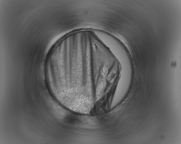 X0000090881120200708241935