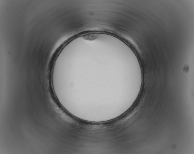 X0000090881122200708241935