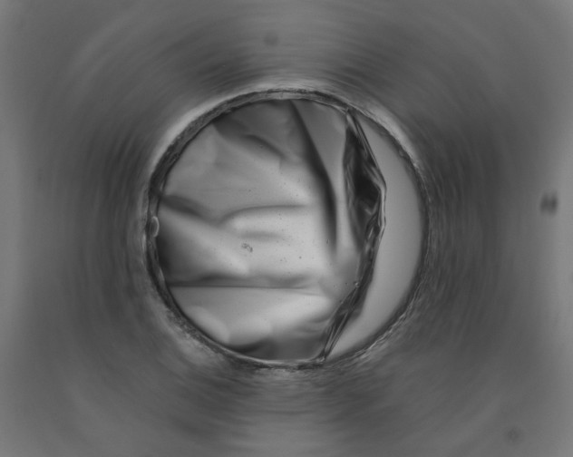 X0000090881124200708241935