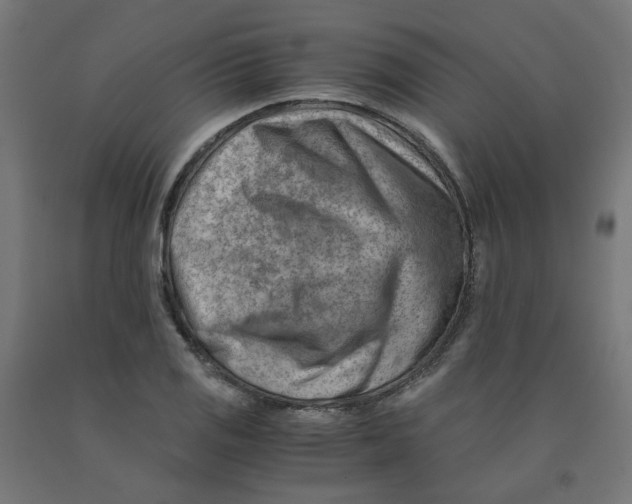 X0000090881125200708241935