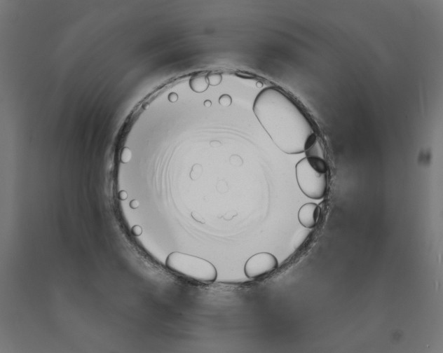 X0000090881126200708241935