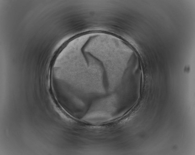 X0000090881127200708241935