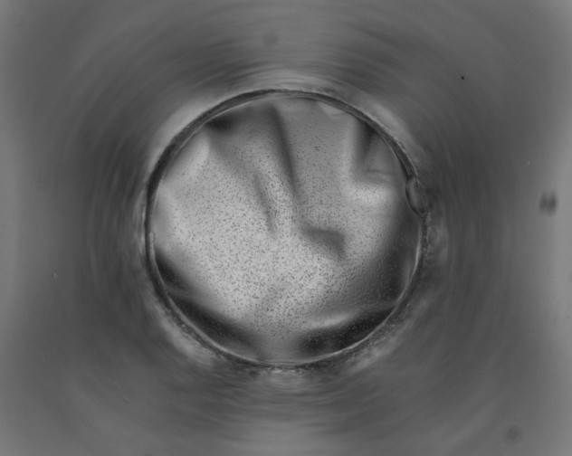 X0000090881128200708241935