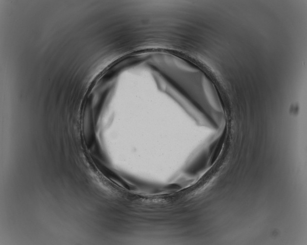 X0000090881129200708241935